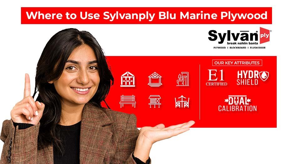 where to Use Sylvanply Blu Marine Plywood